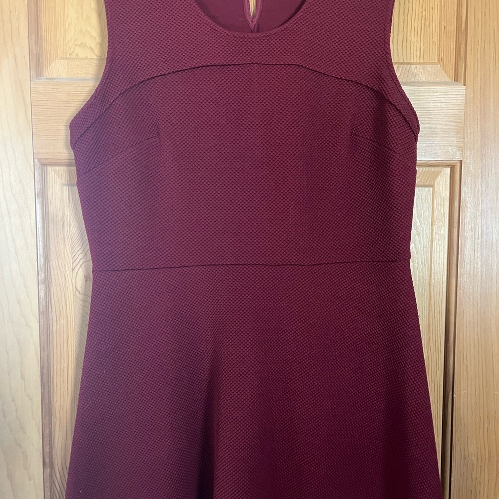 Elegant Burgundy Sleeveless Dress